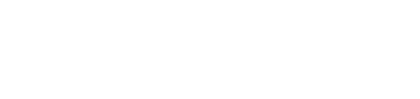 Ви Сайбер Плюс - звезда качества 2024